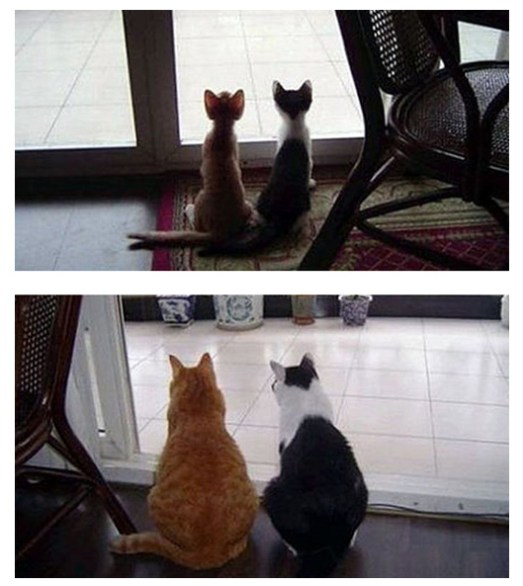 enhanced-buzz-13878-1327447265-8