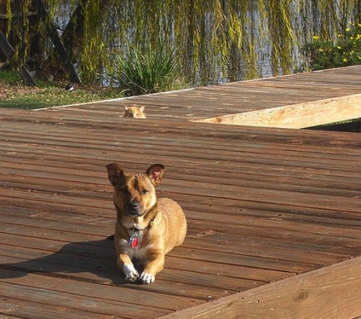 enhanced-buzz-5382-1327443646-43