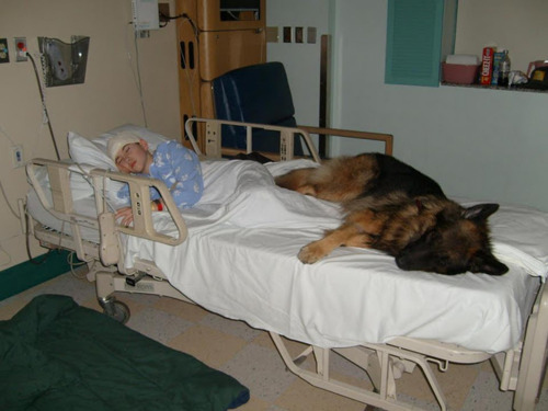 enhanced-buzz-5417-1327439976-13