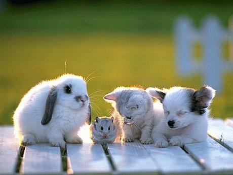 enhanced-buzz-8167-1327446779-20