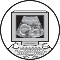 The iPhone 4S's resolution (300 pixels per inch) is on par with most hospital-grade ultrasound monitors, and small screen size won't matter once projection tech takes off.