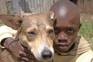 Felix Omondi, an 11-year-old student with his dog, now named Mkombozi (Saviour), in a compound on the outskirts of Nairobi.
