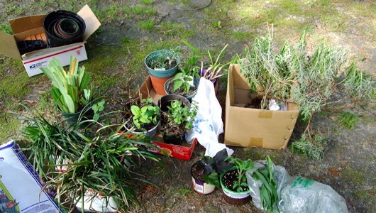 PlantCatching, an online 'catch and release' community that connects folks in possession of unwanted/surplus gardening materials with those who might want them, aims to curb gardening-related waste.