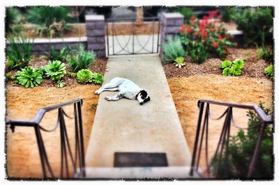 2013-01-03-masalaresting-thumb