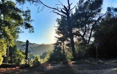 2013-01-03-Nature-thumb