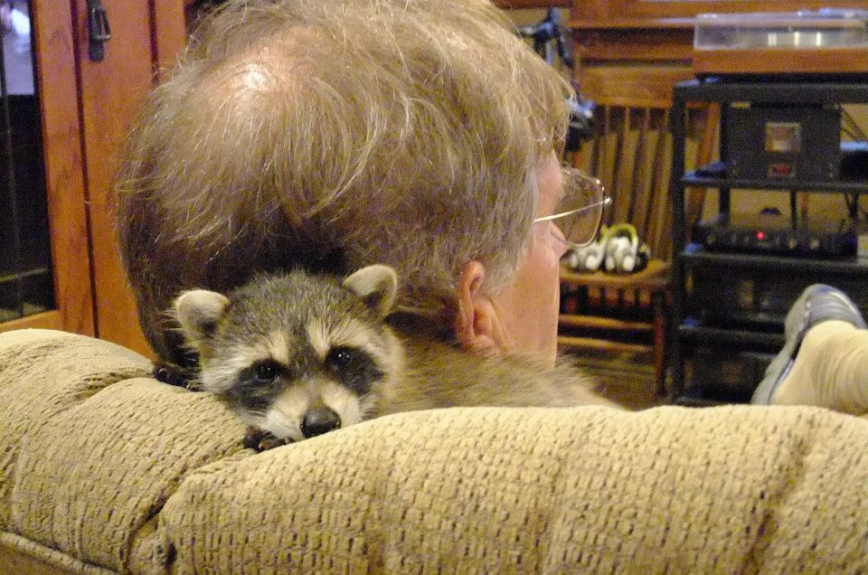 slide_266162_1816604_free